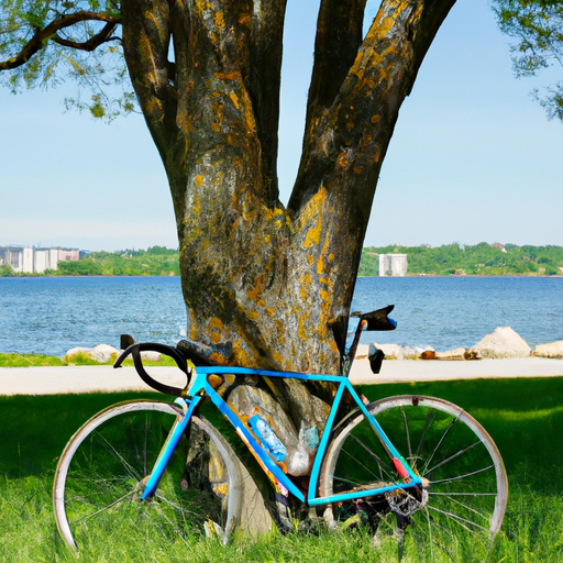 Midwest Biking: Where To Find Bike Rentals In Madison, WI?
